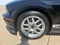 2008 Ford Shelby GT500 Shelby GT500