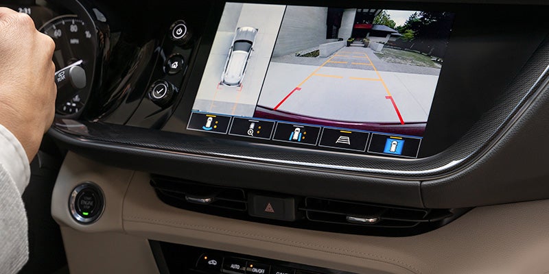 Backup Camera in Use